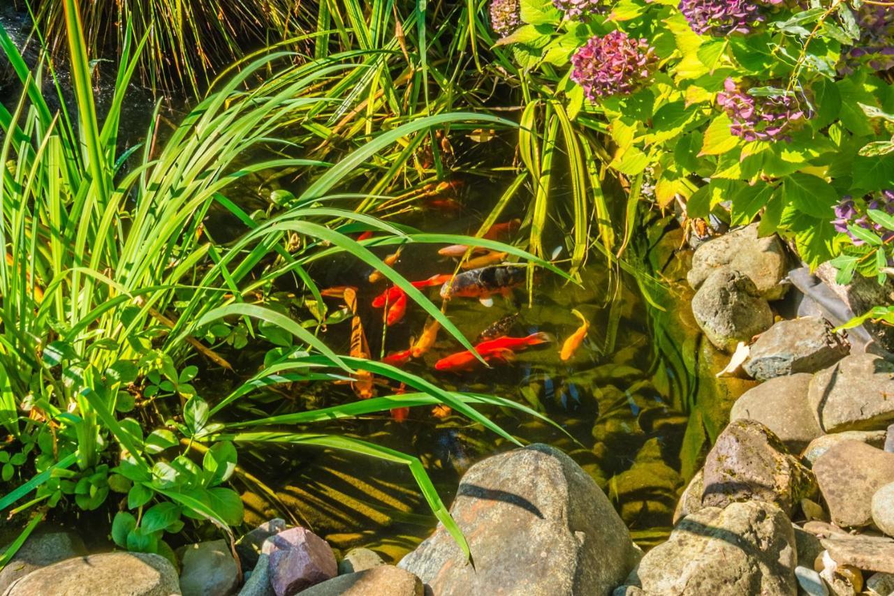 Outdoor Lovers Port Alberni Dış mekan fotoğraf